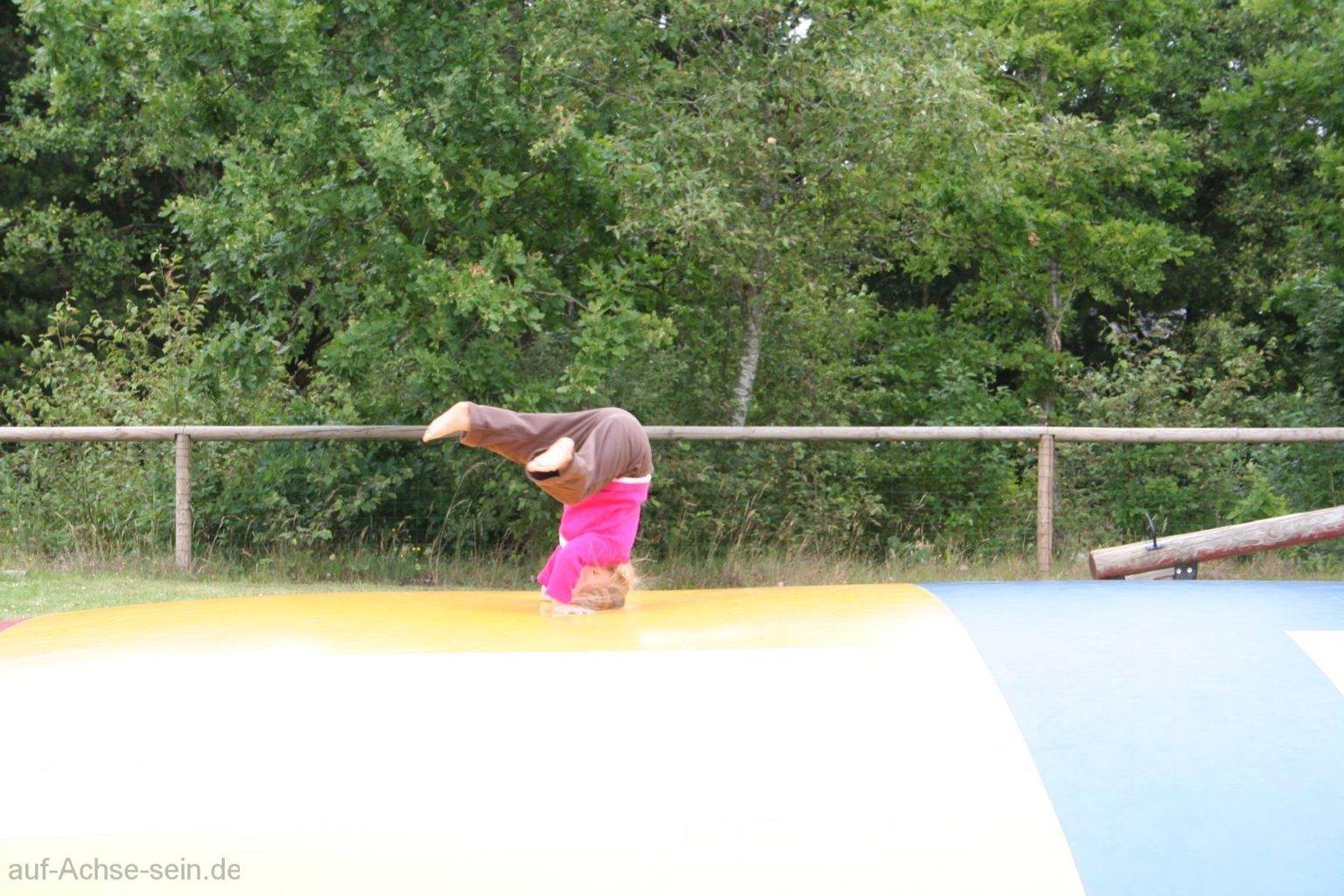 Rundreise durch Dänemark Juli 2008 Natur entdecken