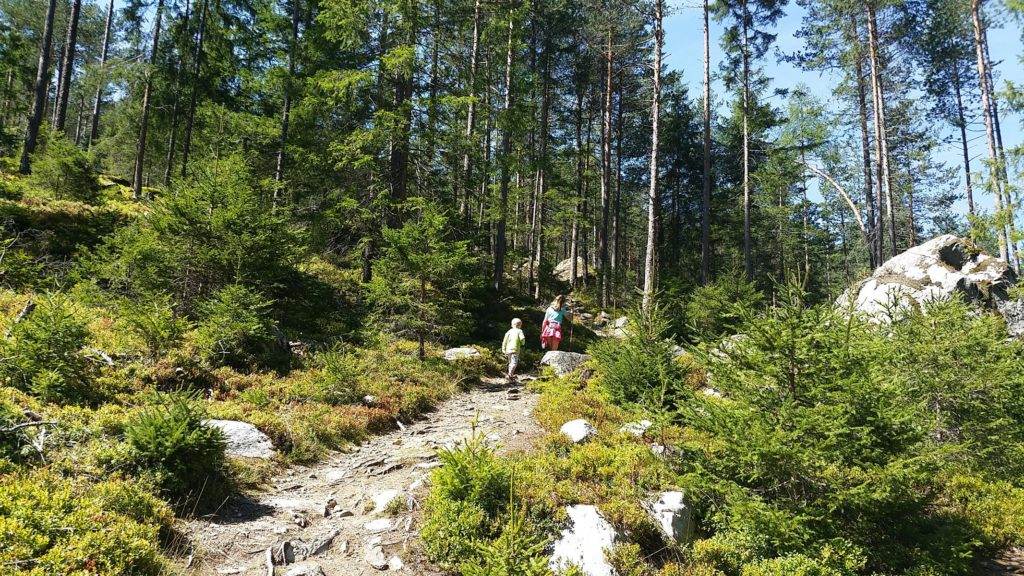 Österreich, Italien, Frankreich, Rundreise