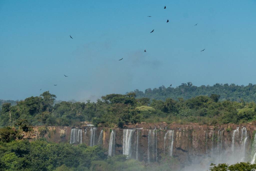 2023 05 18 Iguazu ARG 22