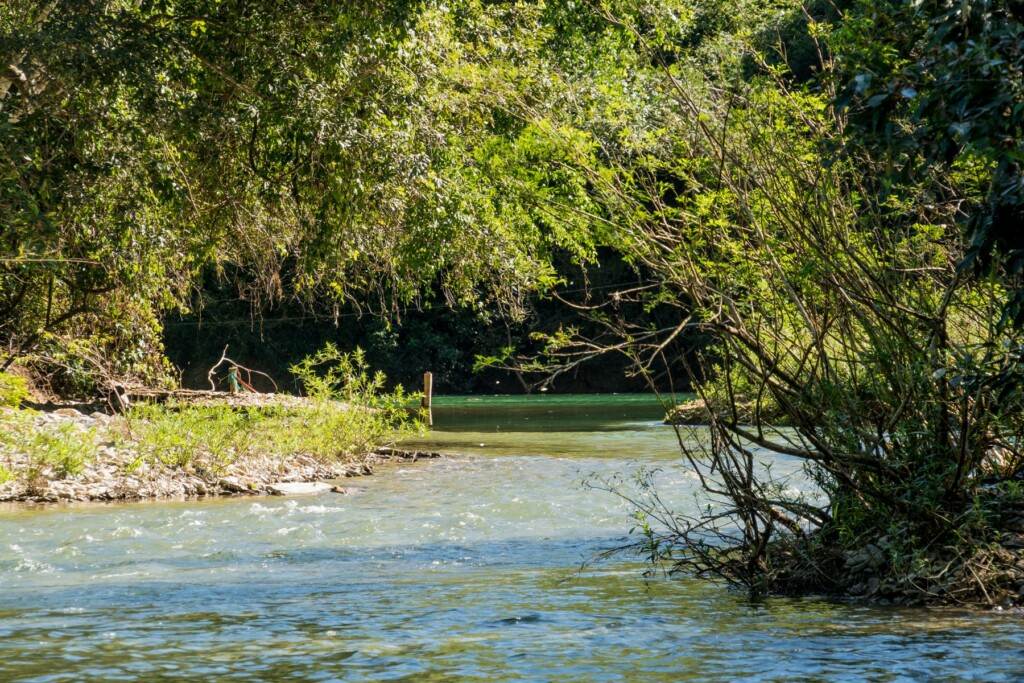 Fluss im Pantanal