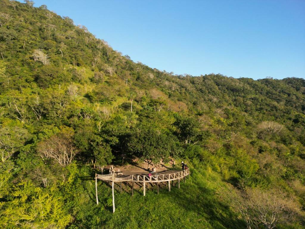Aussichtspunkt im Pantanal