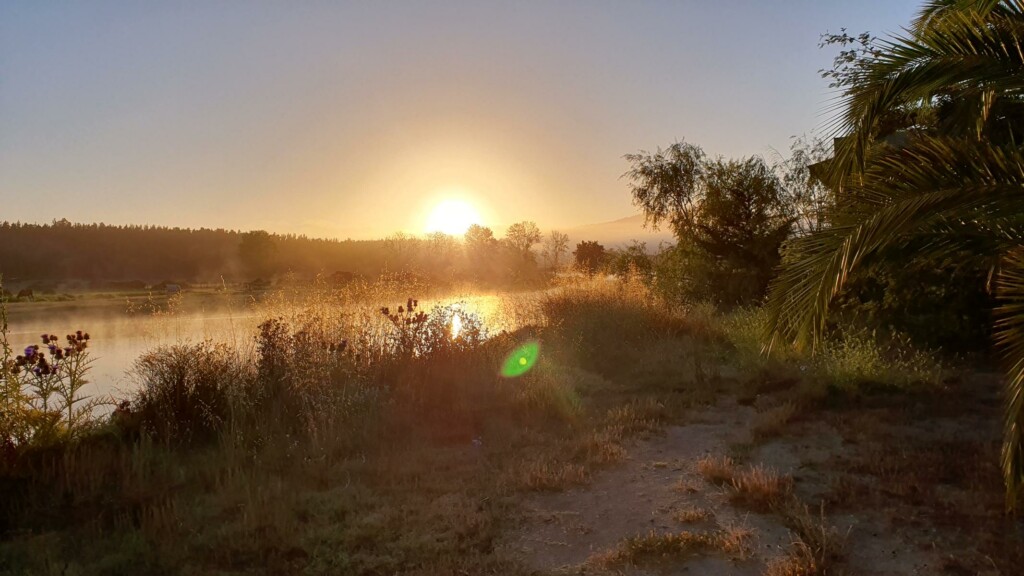 Sonnenaufgang am Fluss